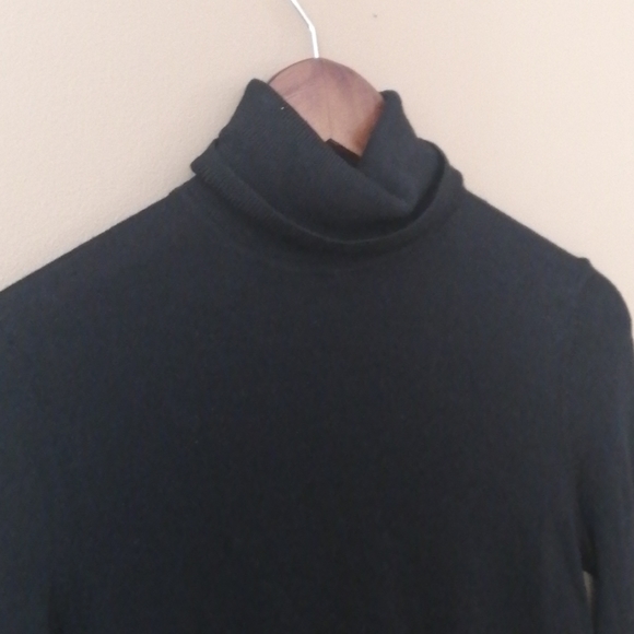 NEW Lord & Taylor Merino Wool Turtleneck Top - Picture 3 of 7